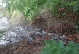 Суд обязал водоканал провести реконструкцию очистных сооружений после загрязнения Оки