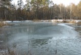 В Калуге более 100 уток остались на зимовку на Сероводородных озёрах