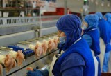 Рекордный урожай, новые рынки экспорта и грандиозные планы: новосибирские аграрии готовы наращивать объёмы производства