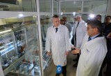 Рекордный урожай, новые рынки экспорта и грандиозные планы: новосибирские аграрии готовы наращивать объёмы производства
