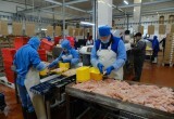 Рекордный урожай, новые рынки экспорта и грандиозные планы: новосибирские аграрии готовы наращивать объёмы производства