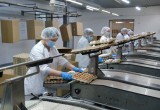 Рекордный урожай, новые рынки экспорта и грандиозные планы: новосибирские аграрии готовы наращивать объёмы производства