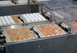 Рекордный урожай, новые рынки экспорта и грандиозные планы: новосибирские аграрии готовы наращивать объёмы производства
