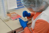 Крупный бизнес высоко оценивает потенциал Новосибирской области
