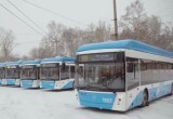 В Новосибирской области за пять лет обновлено 538 единиц пассажирского транспорта