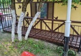 В сквере калужской драмы появился домик для техники