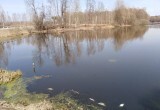 В Калужской области будут судить главу фермы за загрязнение воды и мор рыбы 