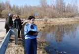 В Калужской области будут судить главу фермы за загрязнение воды и мор рыбы 