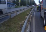 В Калуге на улице Гагарина в ДТП погибли два человека