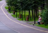 Забота о городских лесах и парках выходит на новый уровень: Губернатор поставил задачи по защите зелёного каркаса Новосибирска