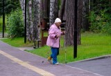 Забота о городских лесах и парках выходит на новый уровень: Губернатор поставил задачи по защите зелёного каркаса Новосибирска