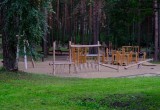 Забота о городских лесах и парках выходит на новый уровень: Губернатор поставил задачи по защите зелёного каркаса Новосибирска