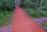 Забота о городских лесах и парках выходит на новый уровень: Губернатор поставил задачи по защите зелёного каркаса Новосибирска