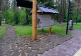 Забота о городских лесах и парках выходит на новый уровень: Губернатор поставил задачи по защите зелёного каркаса Новосибирска