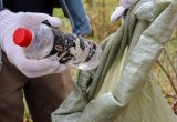 Волонтеры убрали мусор с территории трех памятников природы в Калуге 