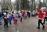 Маленькие калужане и их родители посетили семейный праздник "Мандариновое настроение"