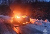 В Калужской области в BMW заживо сгорели мужчина и девочка-подросток