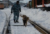 В Калужской области сотрудники ФСБ ликвидировали "теракт" на железной дороге