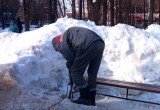 В нескольких скверах Калуги заменили скамейки