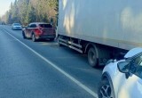 На калужской трассе в массовой аварии семи машин погибли два человека