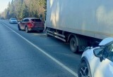 На калужской трассе в массовой аварии семи машин погибли два человека