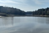 В калужском водоеме массово вымерла рыба