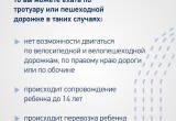 В Калуге велосипедистам и самокатчикам напомнили про правила дорожного движения