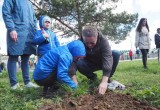 В Калуге в сквере Волкова прошел фестиваль чистоты 