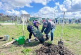 В Калуге в сквере Волкова прошел фестиваль чистоты 