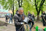 В калужском сквере Ветеранов высадили кусты спиреи в память о погибших бойцах ВОВ