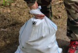 Более 300 мешков мусора вывезли весной с территорий калужских памятников природы