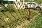 Живые изгороди или как можно экологично украсить свой участок