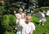 Петухи и гуси прошлись по Тарусе