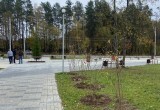 Управление по работе с населением на территориях https://t.me/naselenie_kaluga/1362