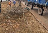  Городская Дума Калуги