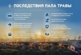 МЧС: пал травы - экологическое варварство и наказывается штрафами