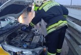 На Киевской трассе в Калужской области произошло массовое ДТП
