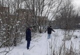 Прокуратуры Калужской области