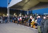 Бессменная ведущая, гуманоид и настоящий верблюд: чем удивили на открытии МКФ "Циолковский"