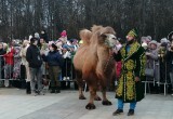 Бессменная ведущая, гуманоид и настоящий верблюд: чем удивили на открытии МКФ "Циолковский"