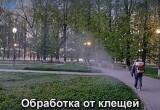 Городское хозяйство Калуги