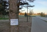 Городское хозяйство Калуги