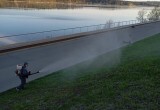 Городское хозяйство Калуги