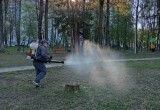 Городское хозяйство Калуги