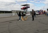 В Калуге прошёл благотворительный фестиваль "Дружные судьбы"