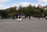 В Калуге прошёл благотворительный фестиваль "Дружные судьбы"