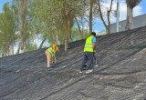 Набережную Яченского водохранилища начнут соединять с Городским бором