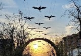 Калугу подготовили к встрече Дня Победы