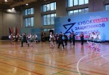 Сила духа или как в Калуге прошёл Кубок защитников Отечества