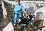 Сельские территории в Калужской области получат более 1,5 млрд рублей на комплексное развитие 